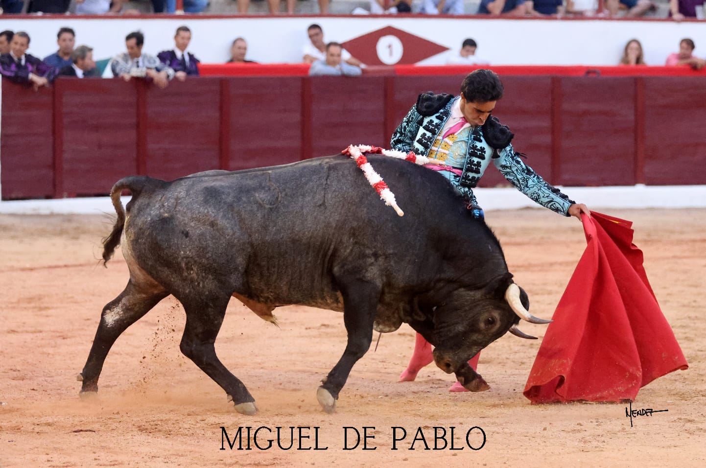 Tierra Brava — campo español